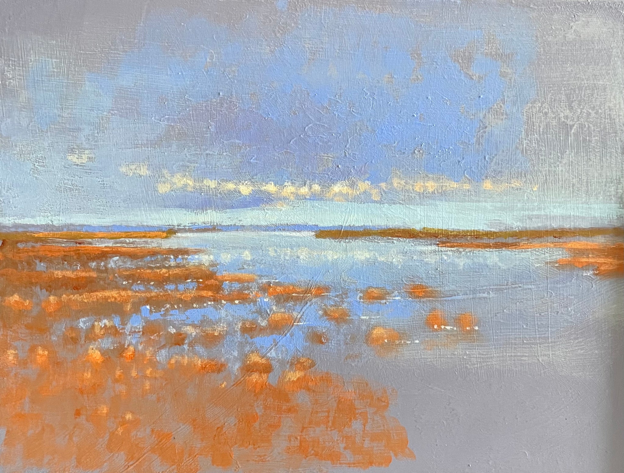 Blue sky and orange salt marsh at high tide ￼