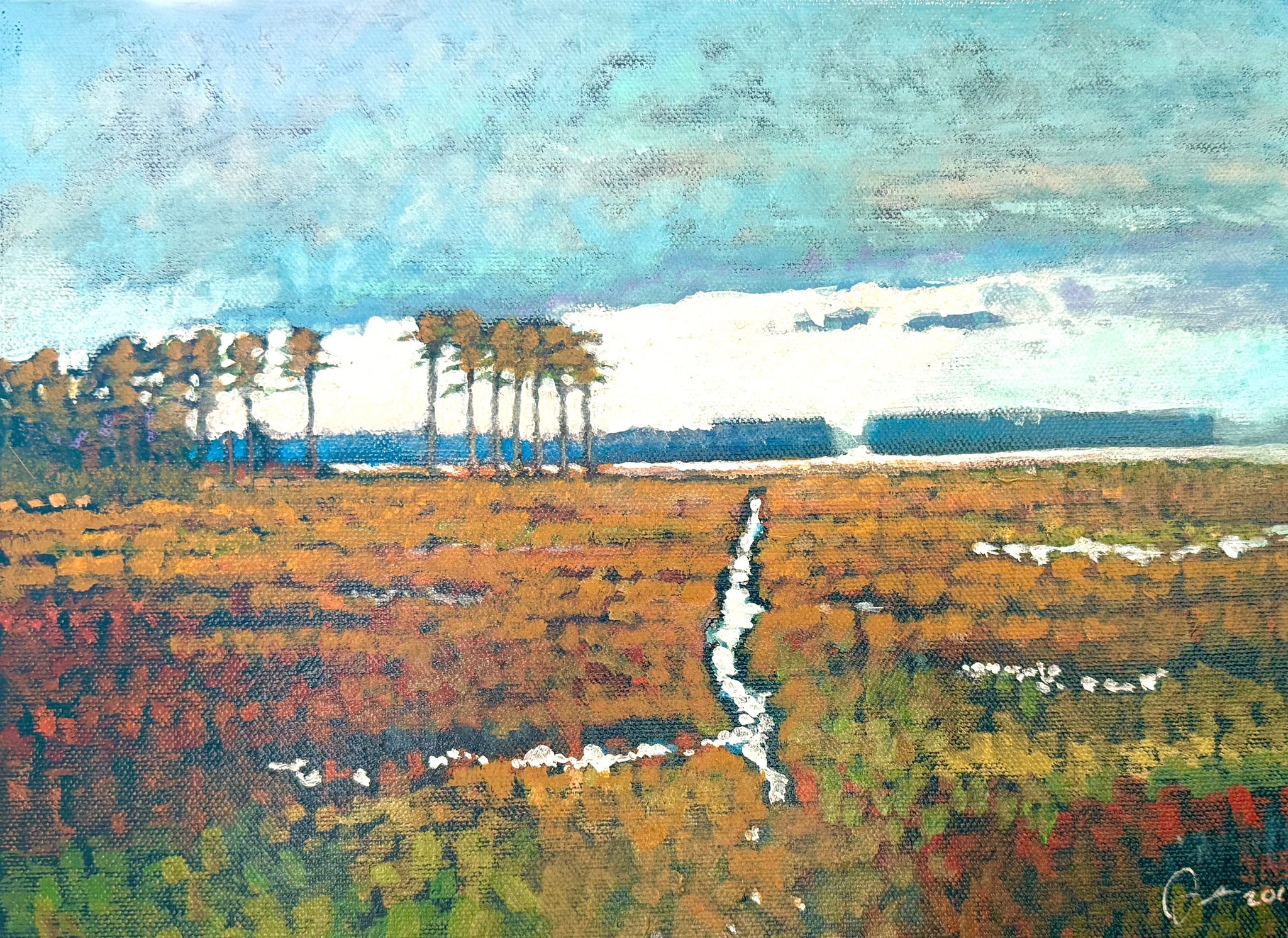 Autumn Storm near Fenwick Island