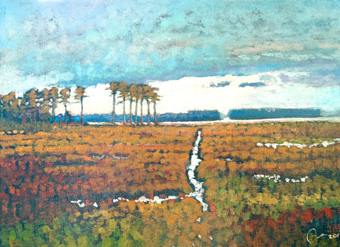Autumn Storm near Fenwick Island