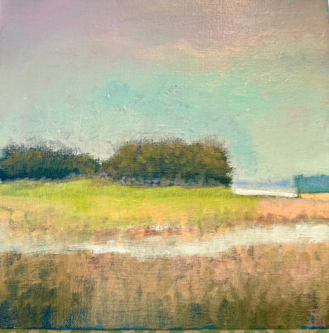 Islands and Marsh near Folly Island