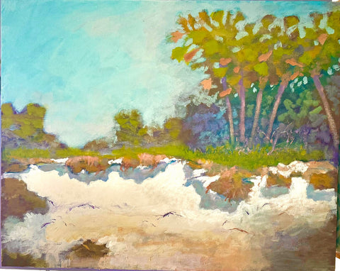 Barrier Island Interior