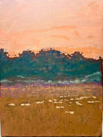 Orange Sky and Brown Marsh in ACE Basin