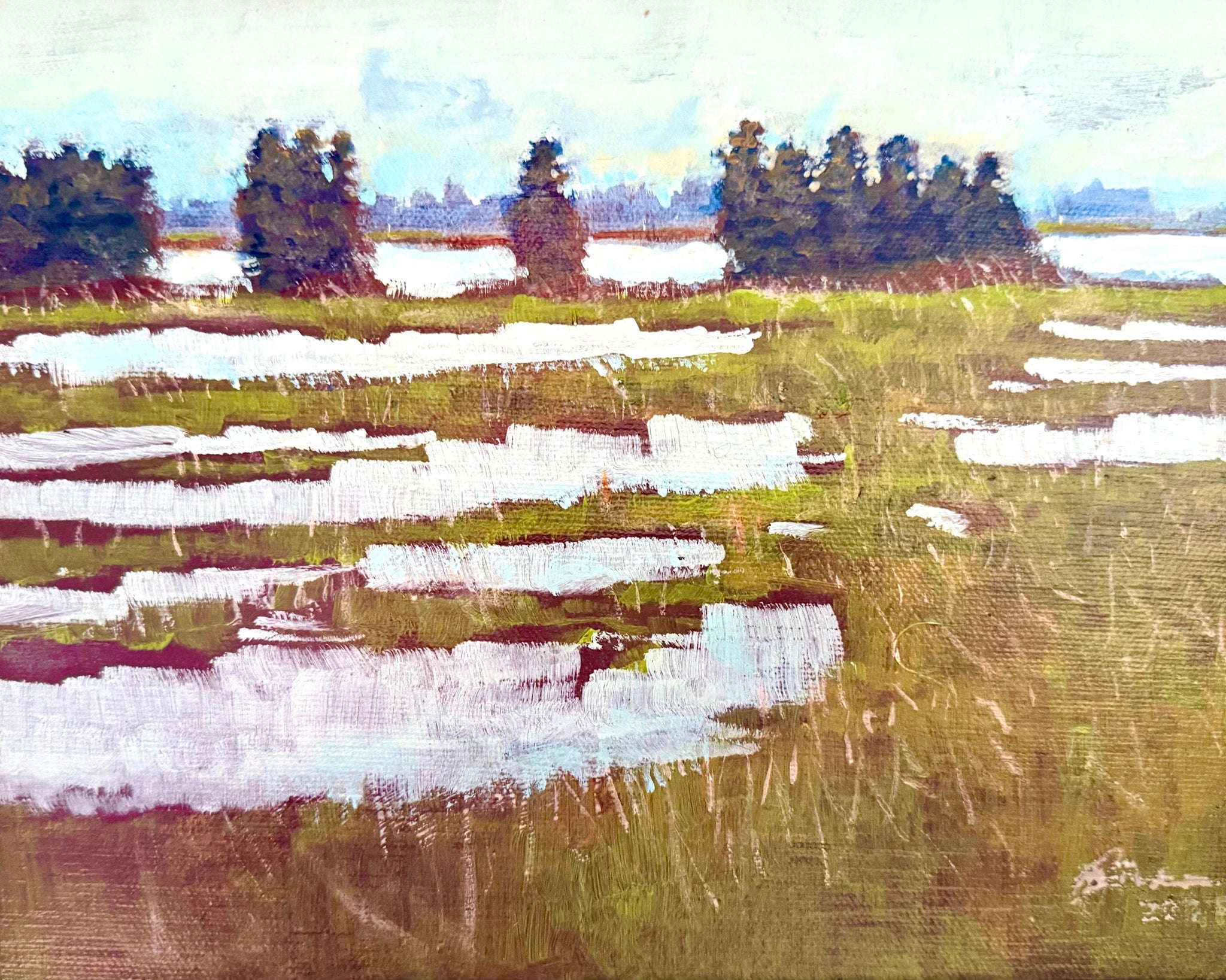 High Tide in Green Marsh