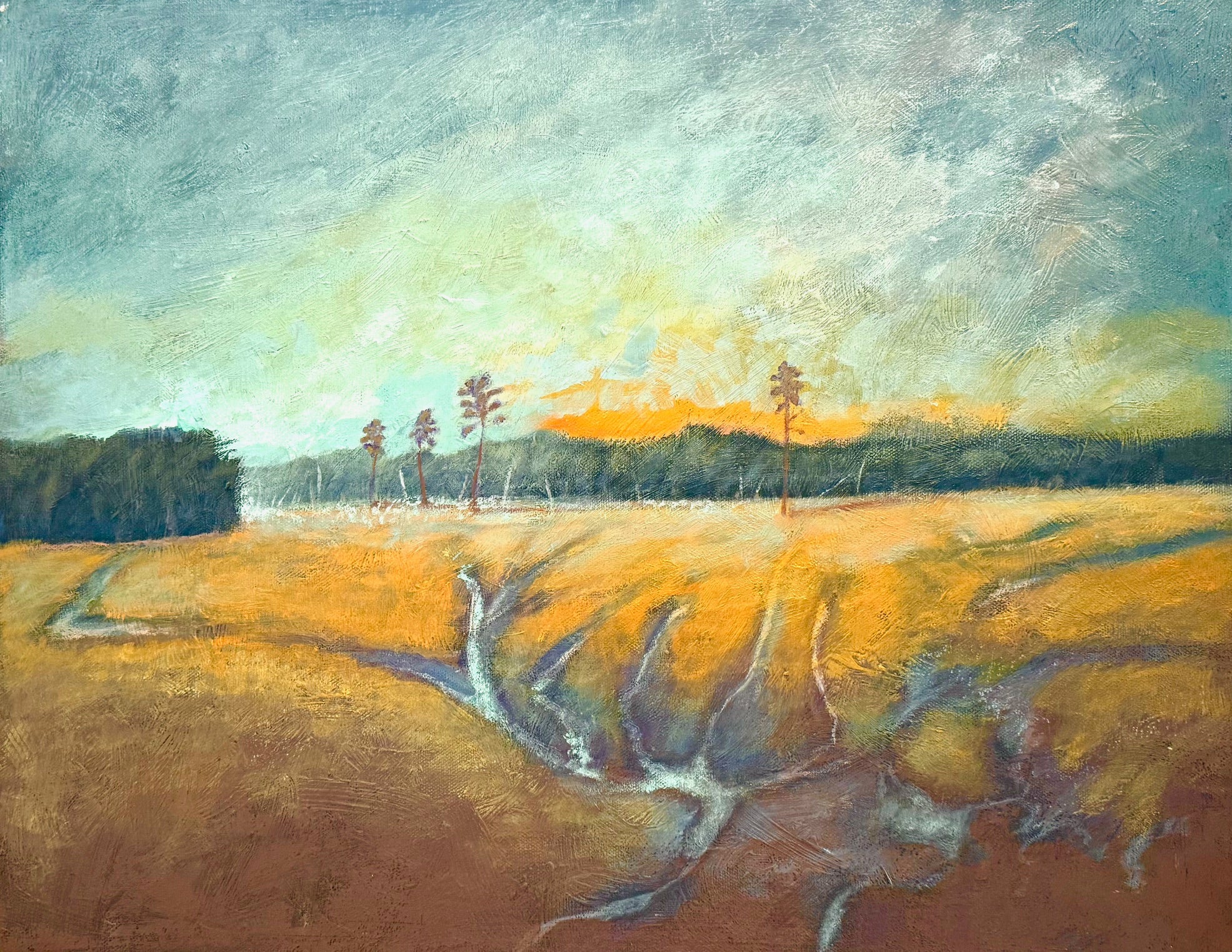 Tea Farm Creek