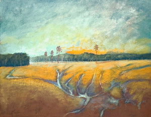 Tea Farm Creek