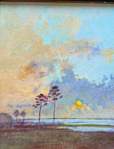 Late clouds, pines and sun