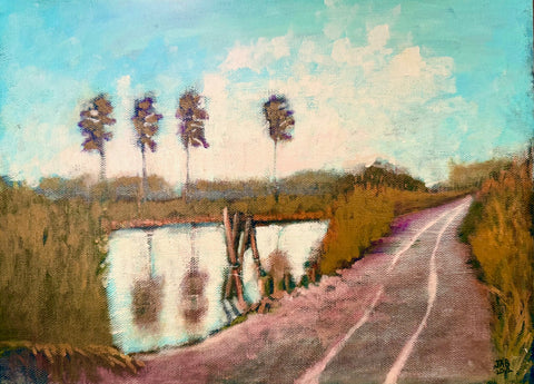 Causeway at Fenwick Island