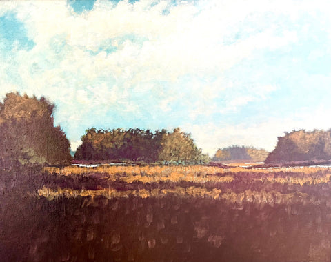 Long Shadows on the Stono Islands