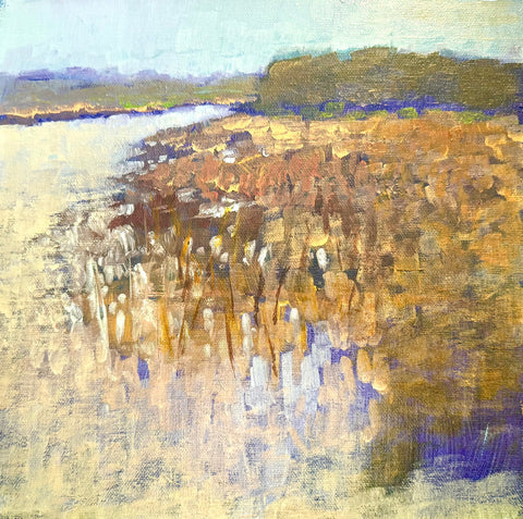 King Tide in Fall Marsh near Hutchinson's Island