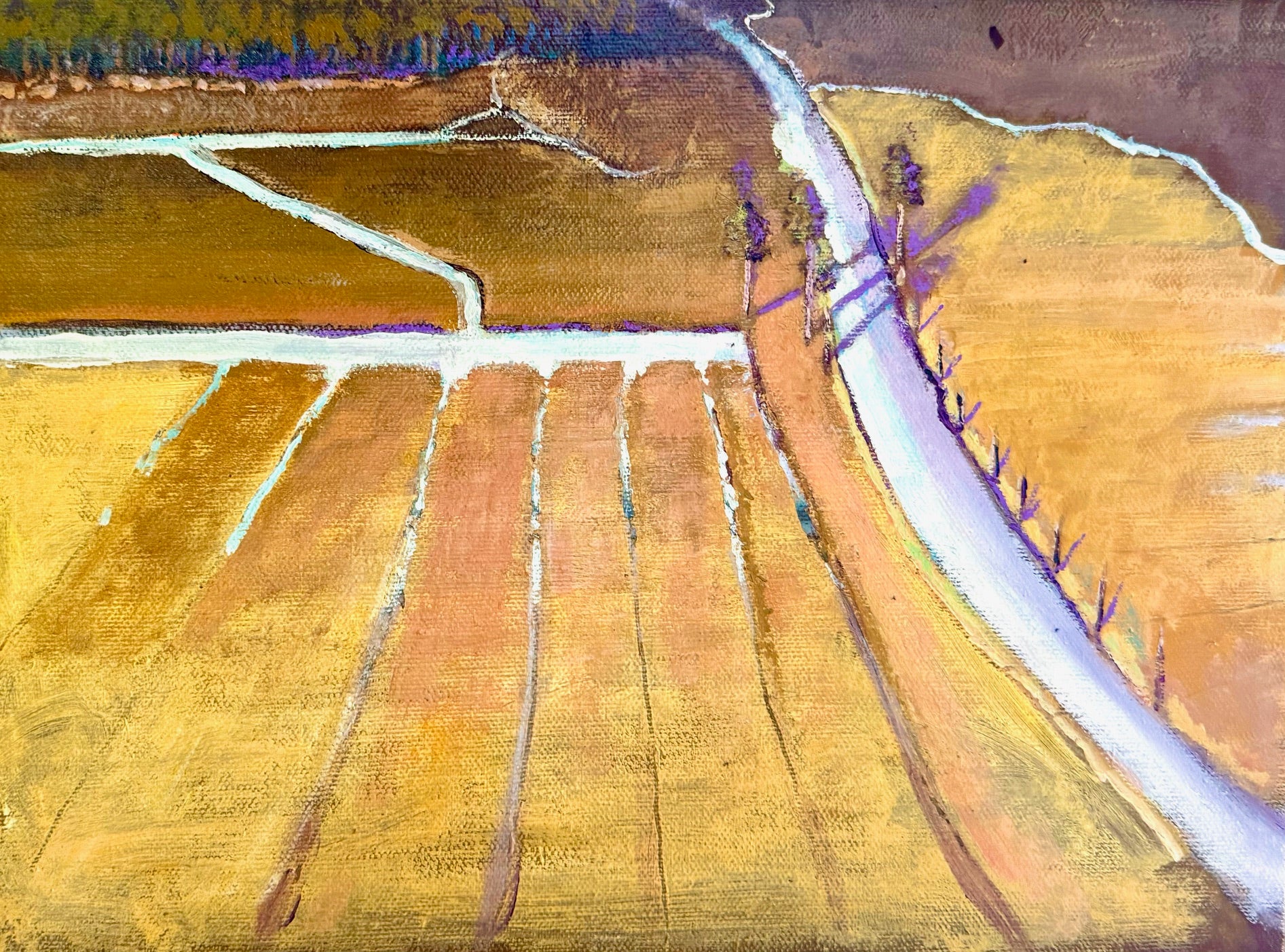 Irrigated Fields near Road