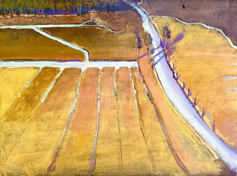 Irrigated Fields near Road