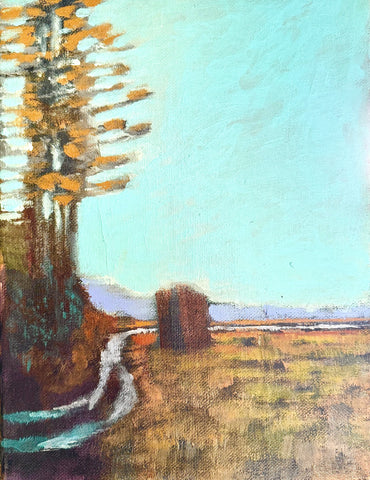 Dirt Road through Grassy Field