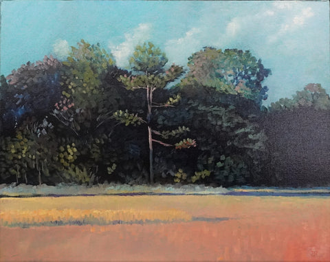 North Kiawah end Late Afternoon  16 X 20