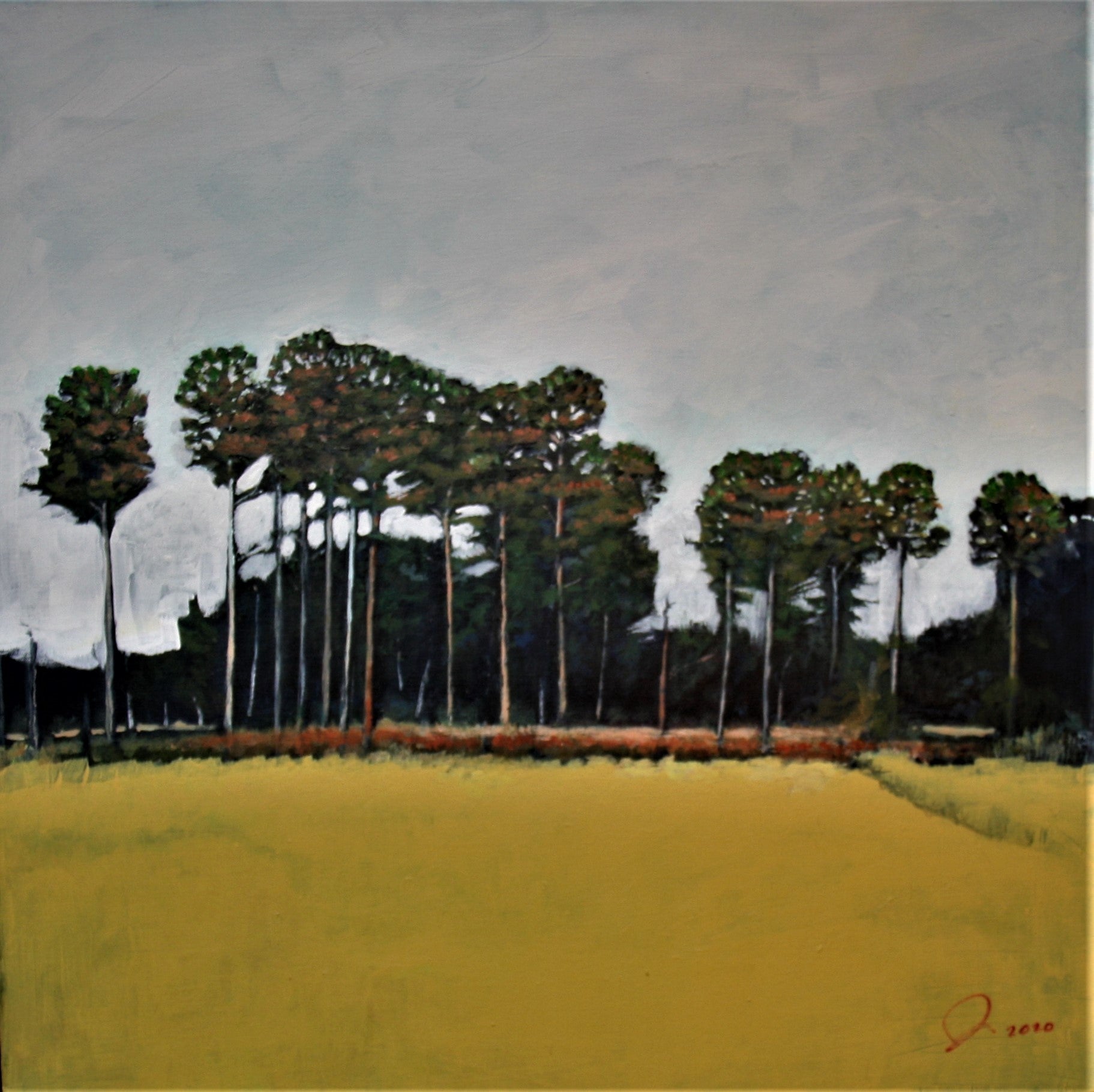 Fall Pines and Yellow Marsh at Fenwick   20 X 20"