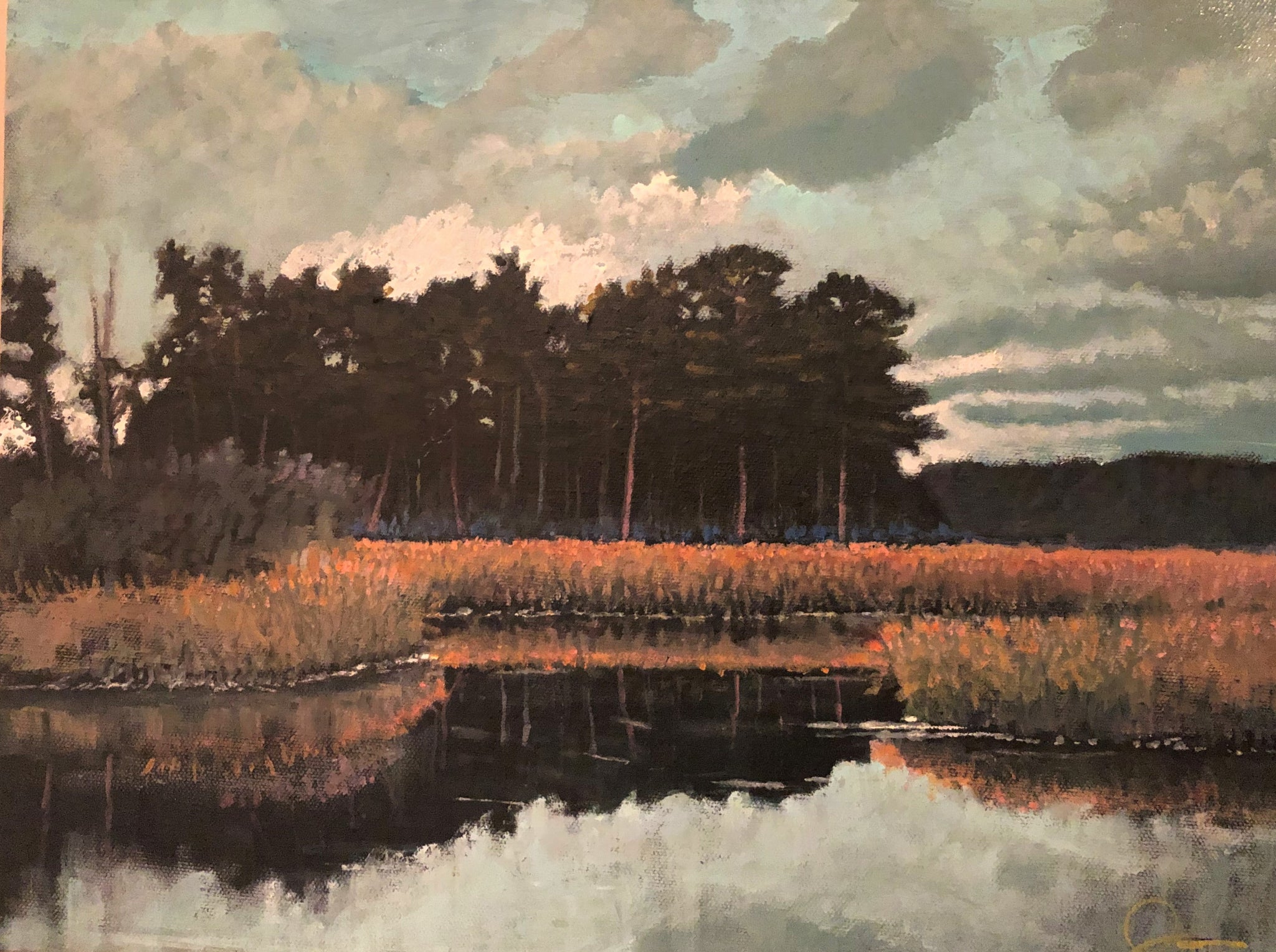 Rice Fields of the Ashepoo on Bennet's Point Road  12 X 16 "