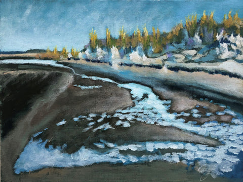 Gullies and Dunes on Morris Island 16 X 20 "