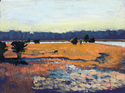 Johnson Creek behind Hunting Island with Orange Grass 16 X 20 "