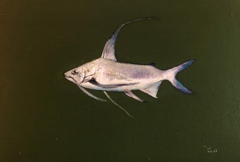 Gaff Topsail Catfish on board  18 X 12 "