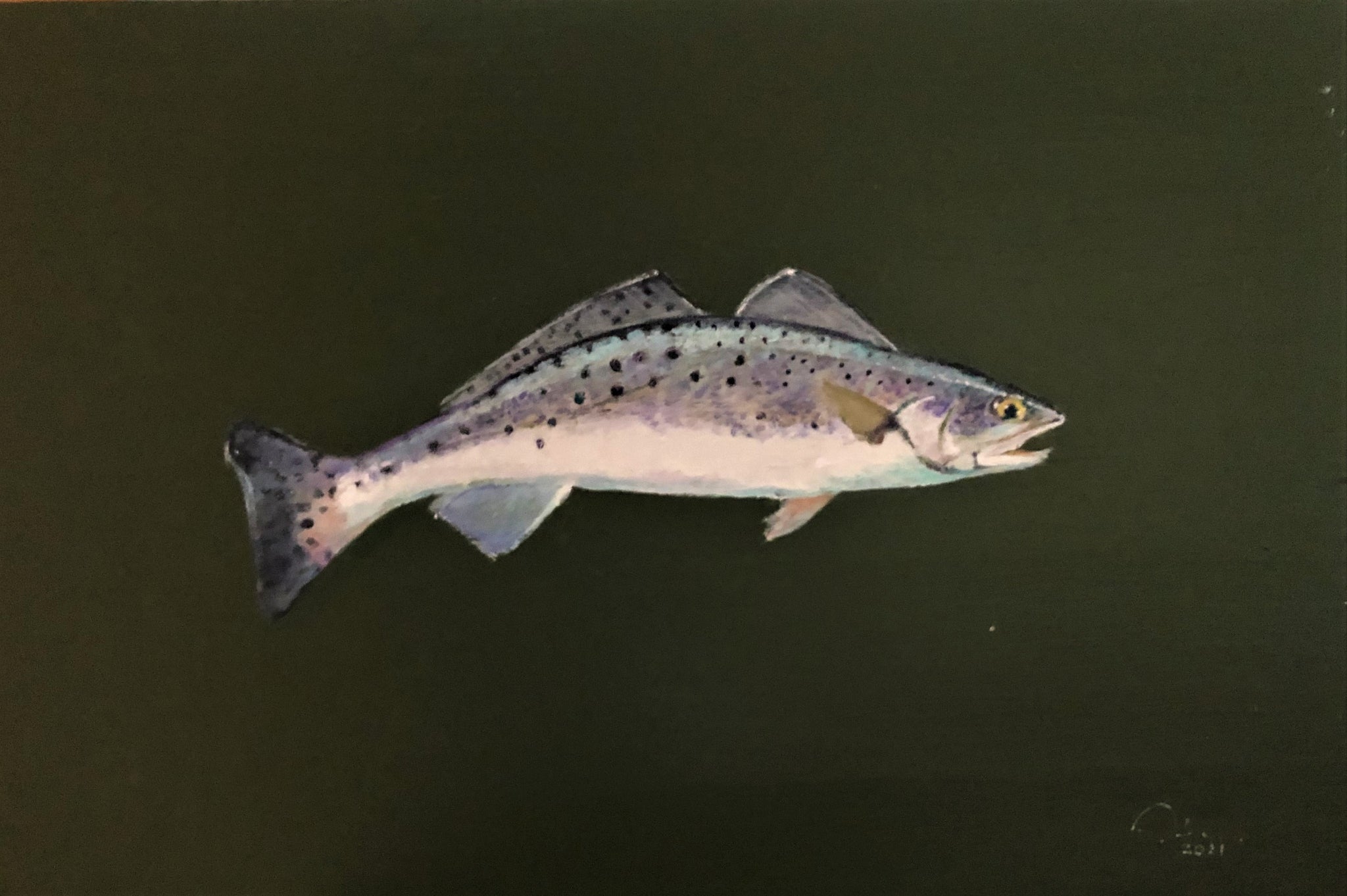 Speckled Sea Trout on board 16 X 12"