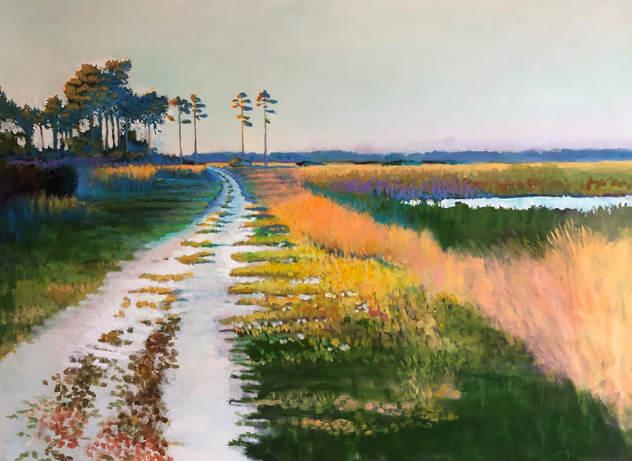 Late Afternoon Colors at Fenwick Island Preserve  48 X 60"