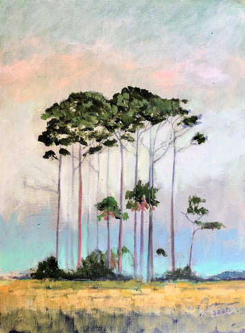 Clump of Tall Pines and Yellow Grass  9 X 12"