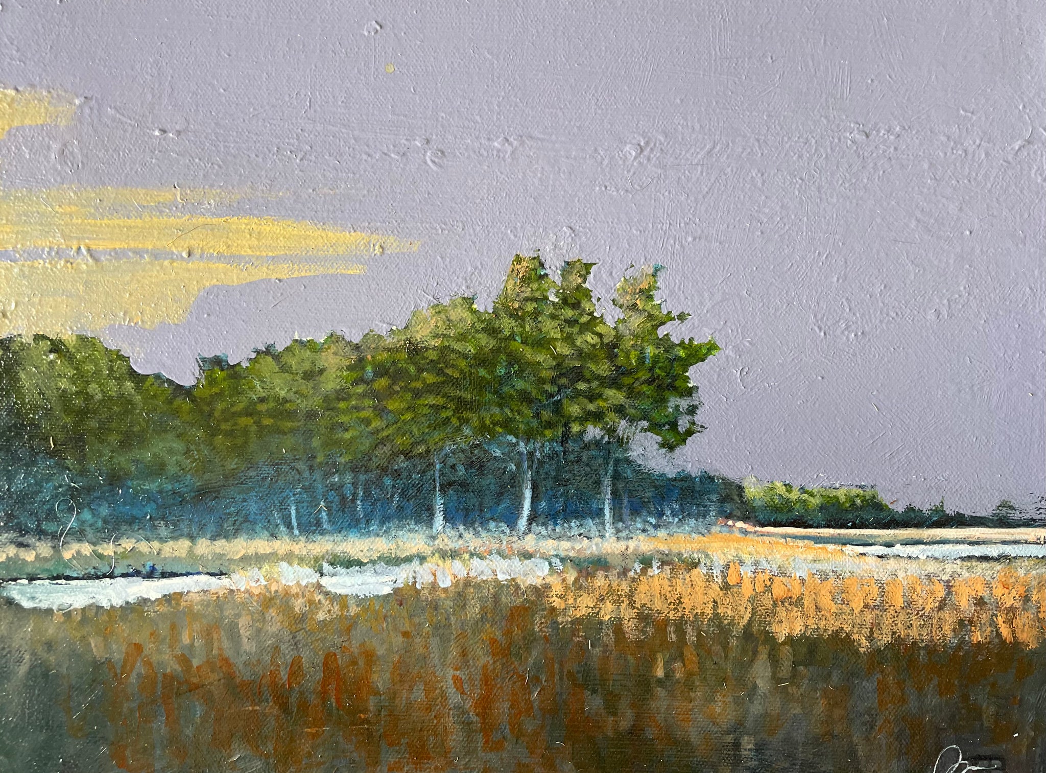 Forested Island on Ashepoo Rice Field 11 X 14"