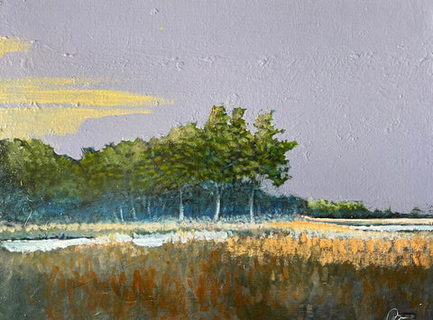 Forested Island on Ashepoo Rice Field 11 X 14"