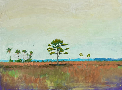 Lone Pine and Palmettos on Fenwick Island  24 X 18 "