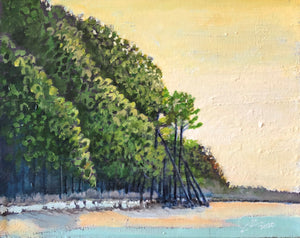 Late Afternoon Pines at Botany Island 8 X 10"