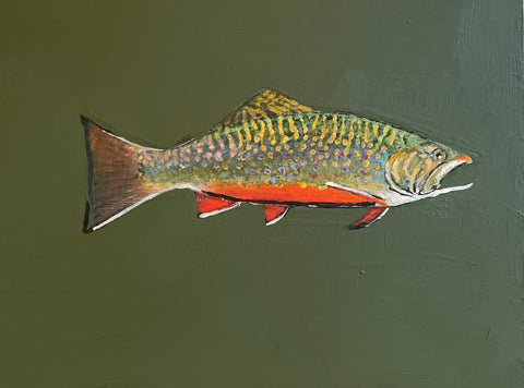 Brook Trout