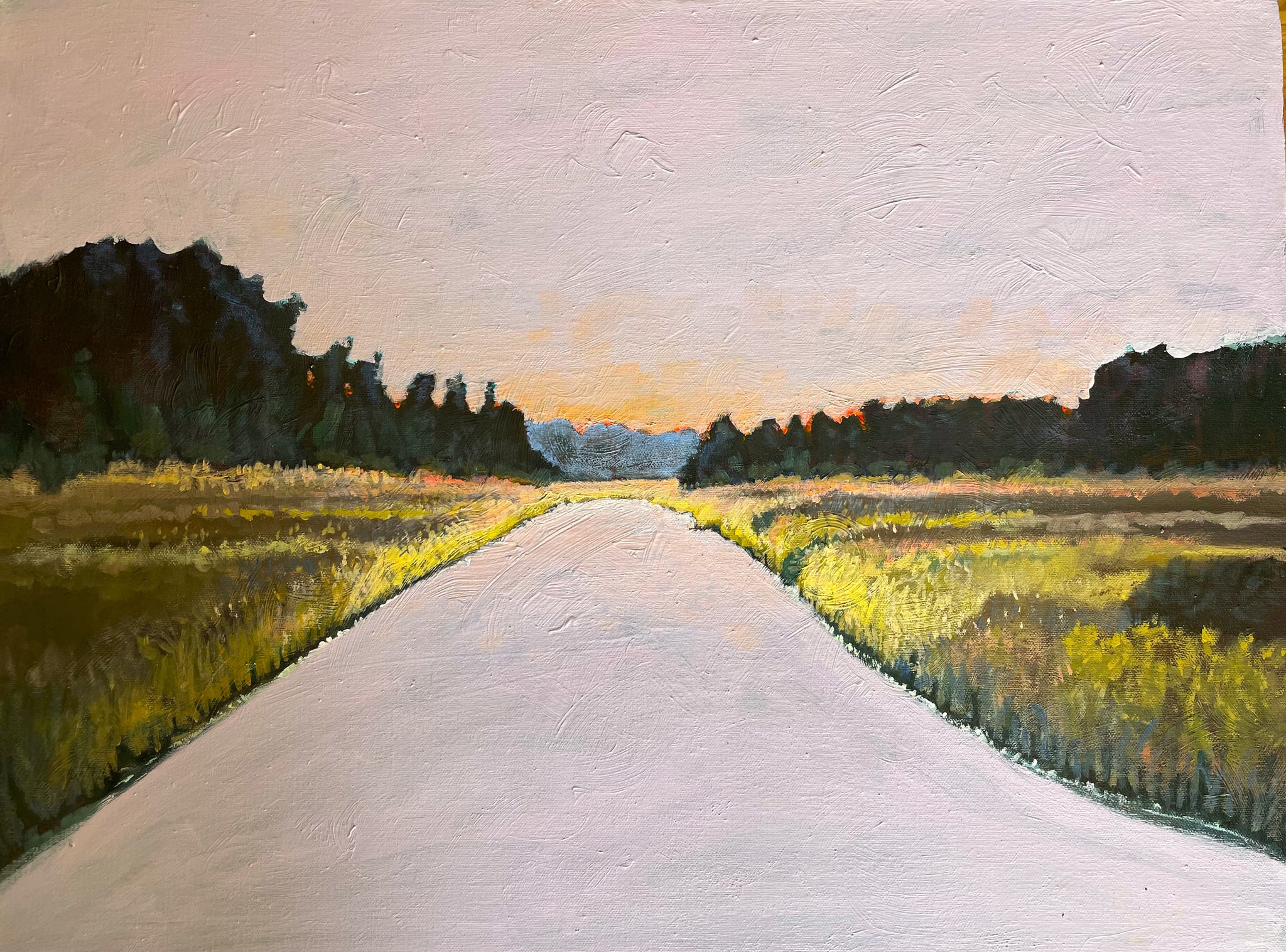 Cheehaw Combahee headwaters as dusk approaches  16 X 20"